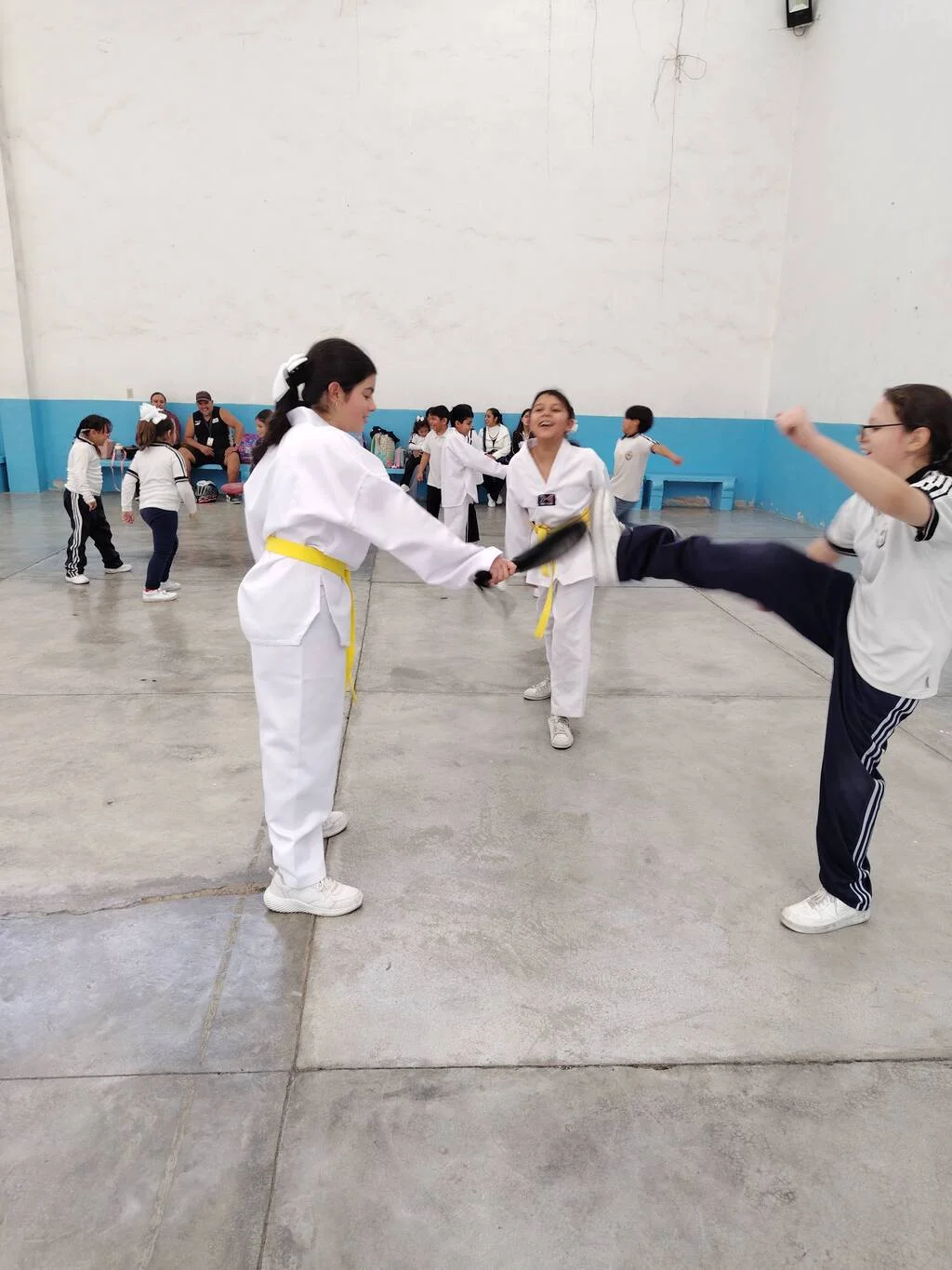 Estudiantes practican taekwondo con paletas de entrenamiento en una cancha cubierta.